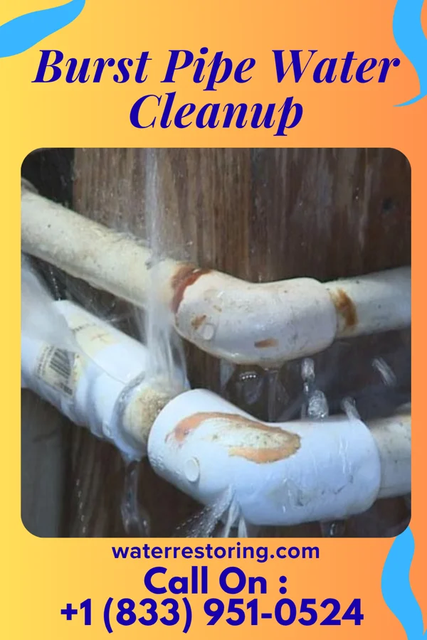 Burst Pipe Water Cleanup in Xenia, OH