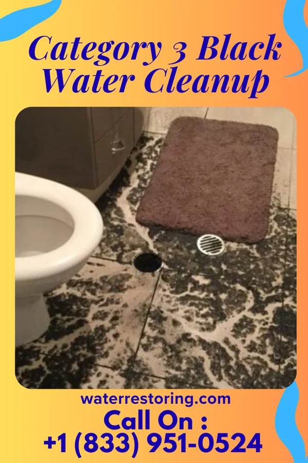 Category 3 Black Water Cleanup in Xenia, OH