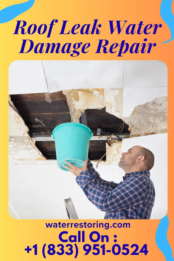 Roof Leak Water Damage Repair in Xenia, OH
